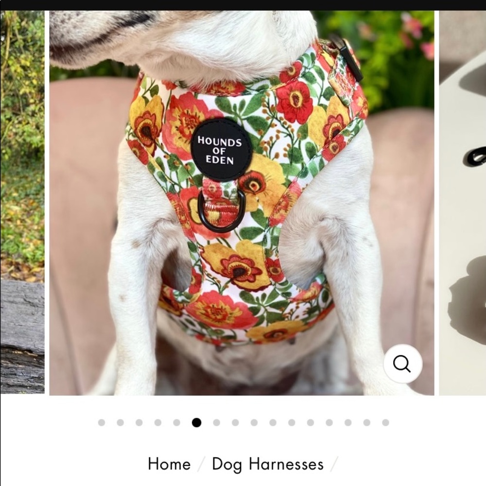 NWT HOUNDS OF EDEN DOG HARNESS S FLORAL